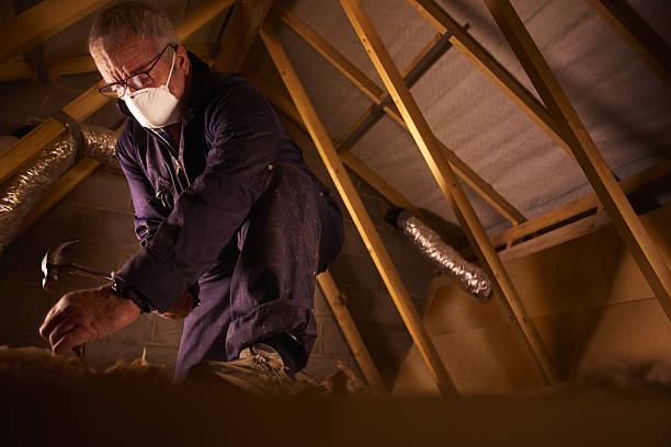 Best Commercial Insulation in Royal Oak, MI
